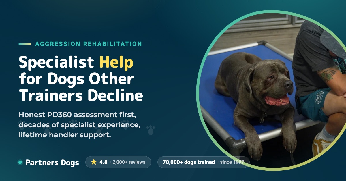 Dog Aggression Rehabilitation | Bite History | Partners Dogs